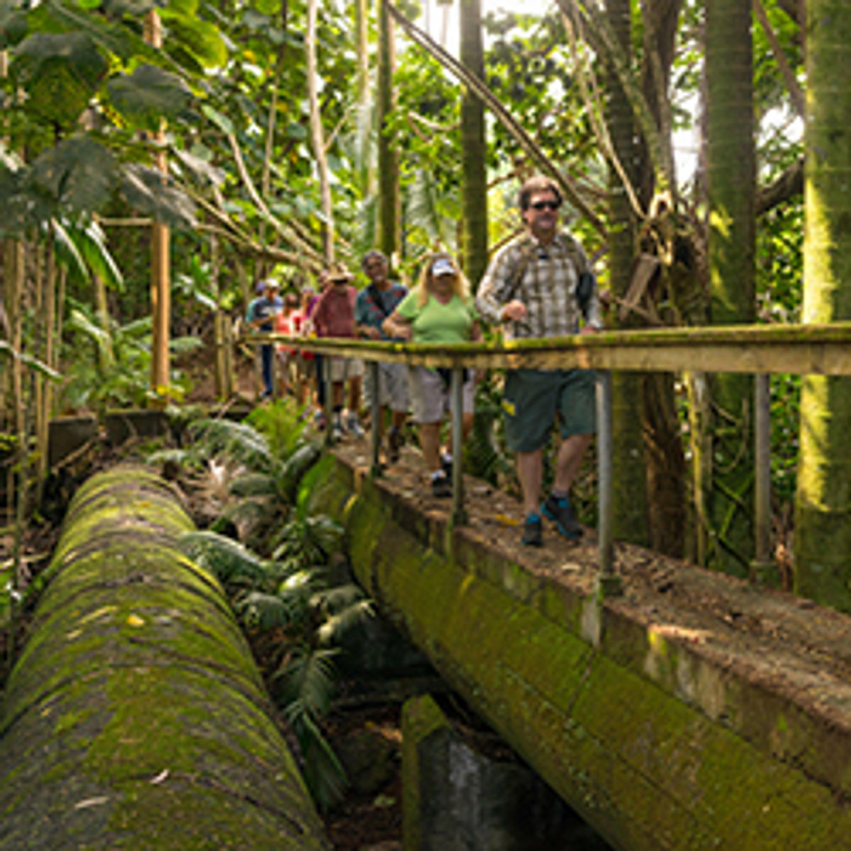 Why Hilo, Hawaii Island, Is Worth Exploring TravelAge West